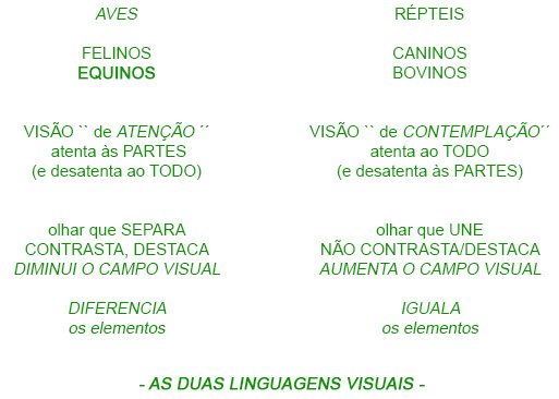 As duas linguagens visuais As duas linguagens visuais