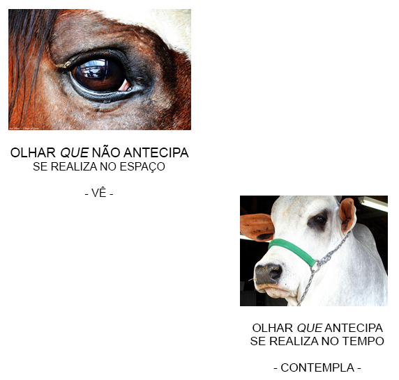 Percepção Percepção