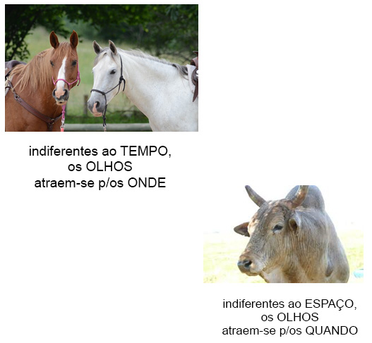 Percepção Percepção