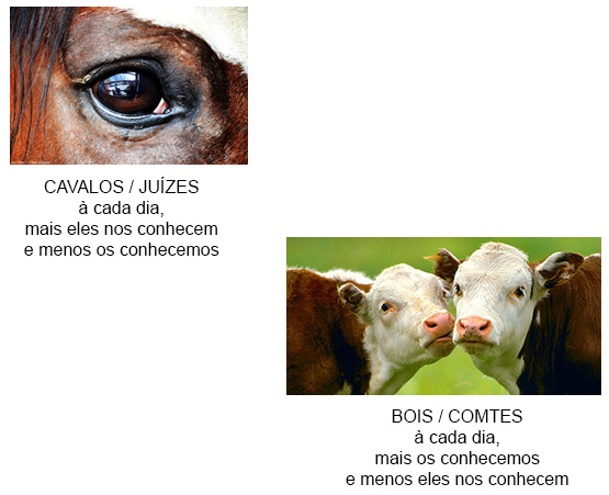 Percepção Percepção