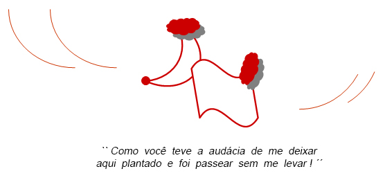 Cachorrinho Cachorrinho