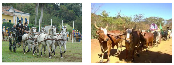 Diferenças Diferenças