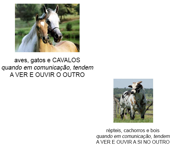 Percepção Percepção