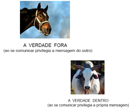 Percepção Percepção